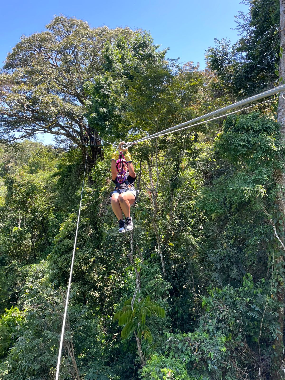 Canopy zipline adventure in Manuel Antonio