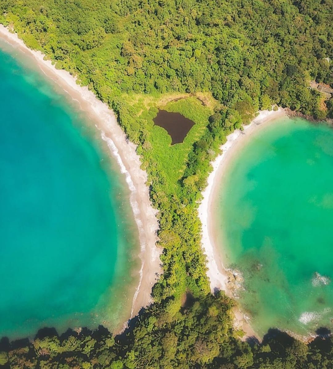 Certified guided tour inside Manuel Antonio National Park
